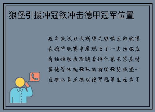 狼堡引援冲冠欲冲击德甲冠军位置