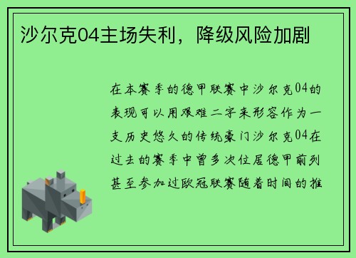沙尔克04主场失利，降级风险加剧